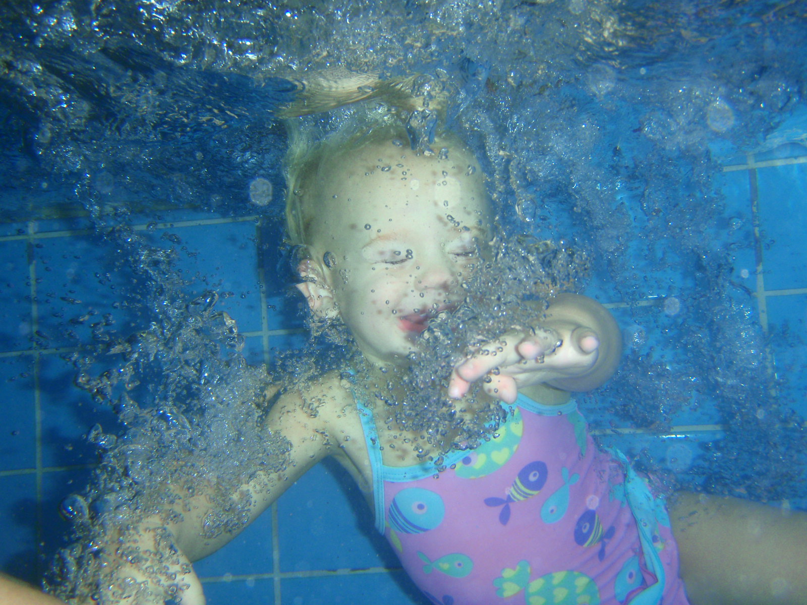 plavání web fotoalbum (40)