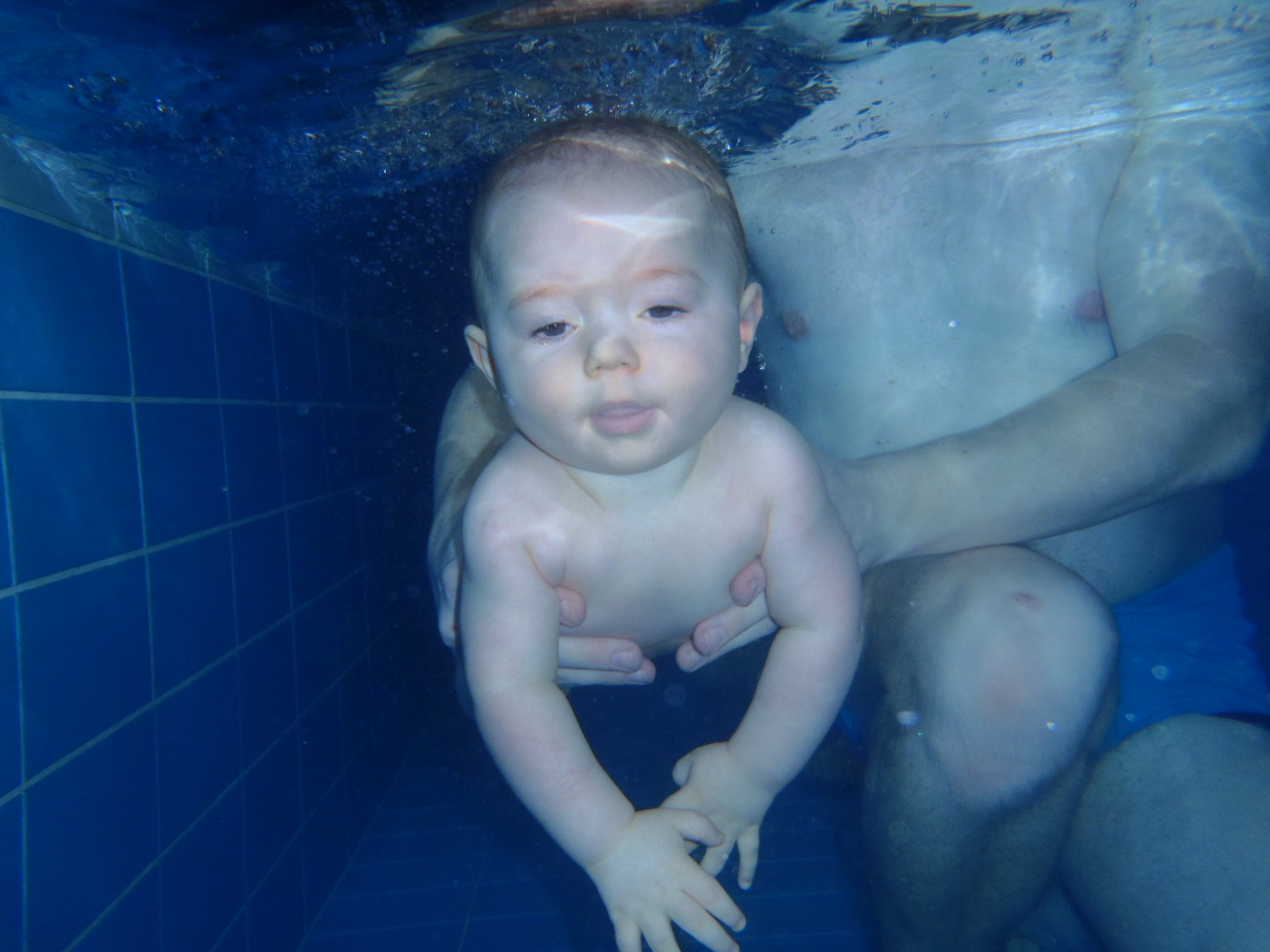 Plavání foto+video (685)