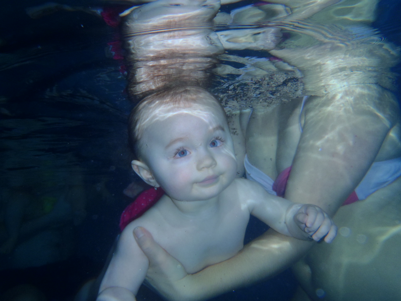 Plavání foto+video (824)
