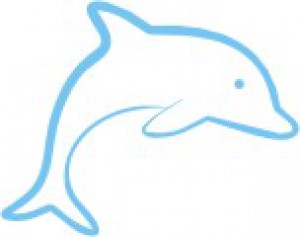 delfin.jpg